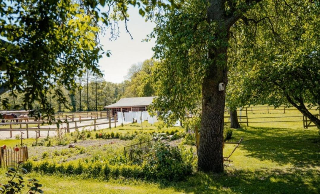 Ferienhof Trapp Ellringen Eksteriør bilde